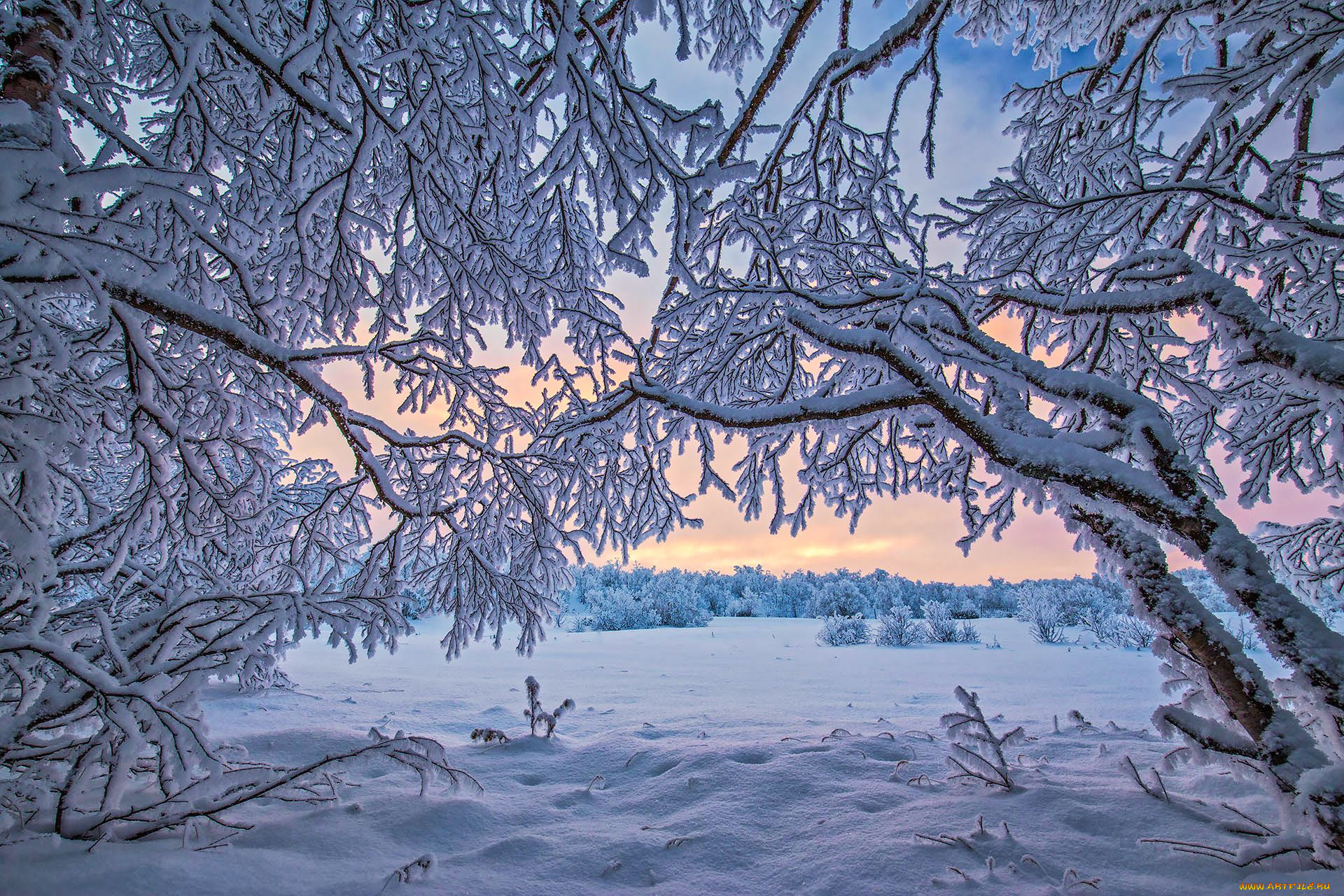 , , finland, lapland, , , , 